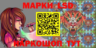 прущий лед Кингисепп