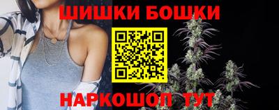 индика Абакан