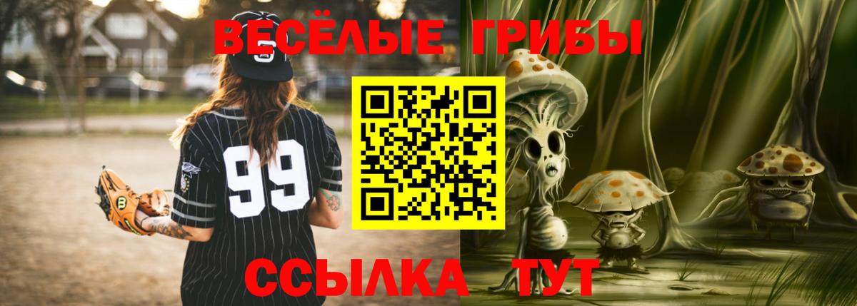 Галлюциногенные грибы Psilocybe  Кубинка 